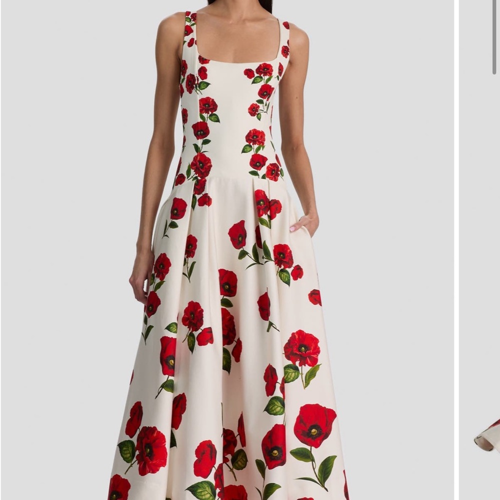 ALICE + OLIVIA Adley Poppy Print Sleeveless Drop Waist
Maxi Dress